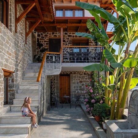 House Draganis Villa Sykia Chalkidikis Luaran gambar